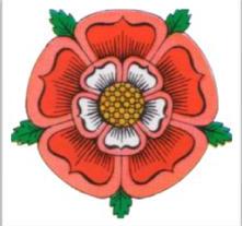 tudor-rose_colour